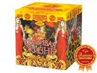 Красивая жизнь Фейерверк купить в Тайге | tajga.salutsklad.ru