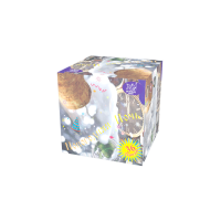 Новогодняя ночь Салют купить в Тайге | tajga.salutsklad.ru