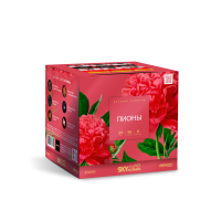 Пионы Салют купить в Тайге | tajga.salutsklad.ru