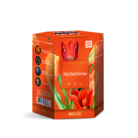 Тюльпаны Салют купить в Тайге | tajga.salutsklad.ru