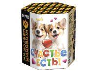 Счастье есть! Салют купить в Тайге | tajga.salutsklad.ru