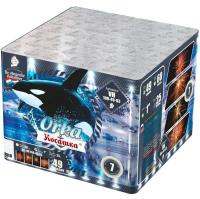 Косатка Фейерверк купить в Тайге | tajga.salutsklad.ru