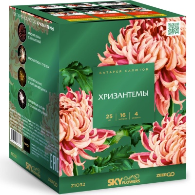 Хризантемы Фейерверк купить в Тайге | tajga.salutsklad.ru
