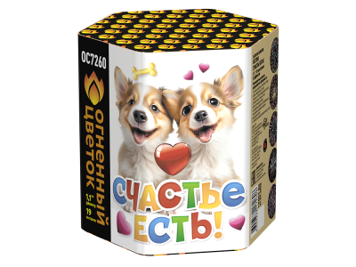 Счастье есть! Салют купить в Тайге | tajga.salutsklad.ru