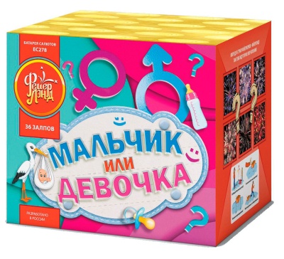 Мальчик или девочка М Фейерверк купить в Тайге | tajga.salutsklad.ru